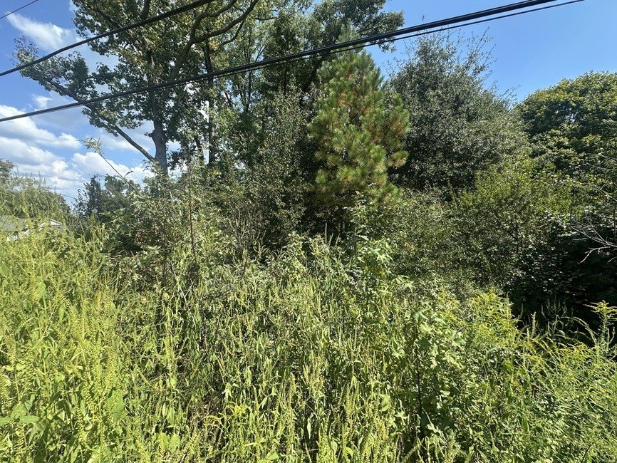 Picture 36