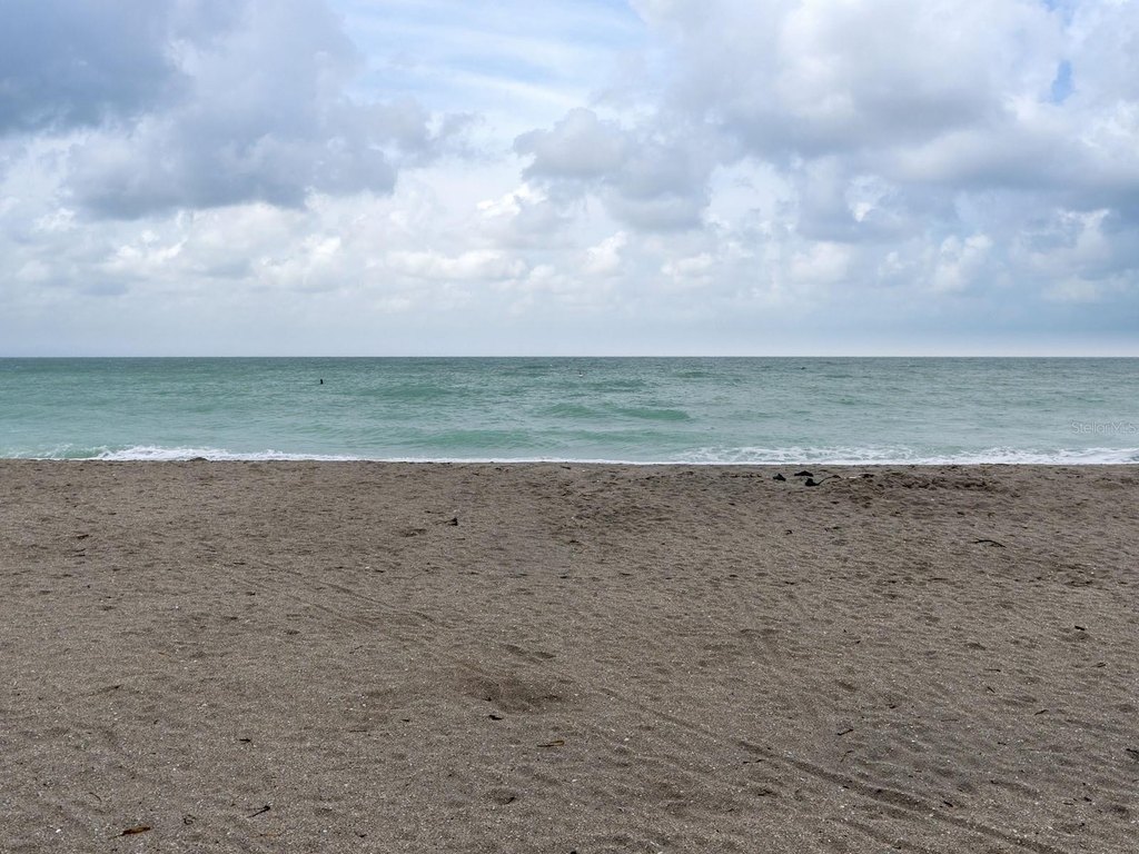 Picture 36