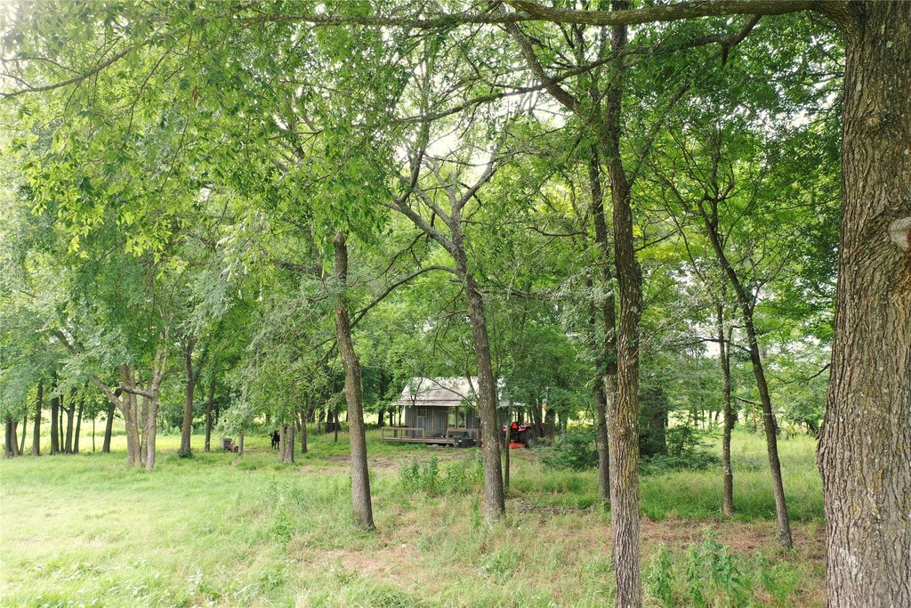 Picture 7