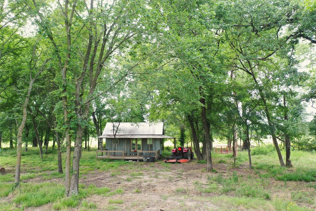 Picture 2