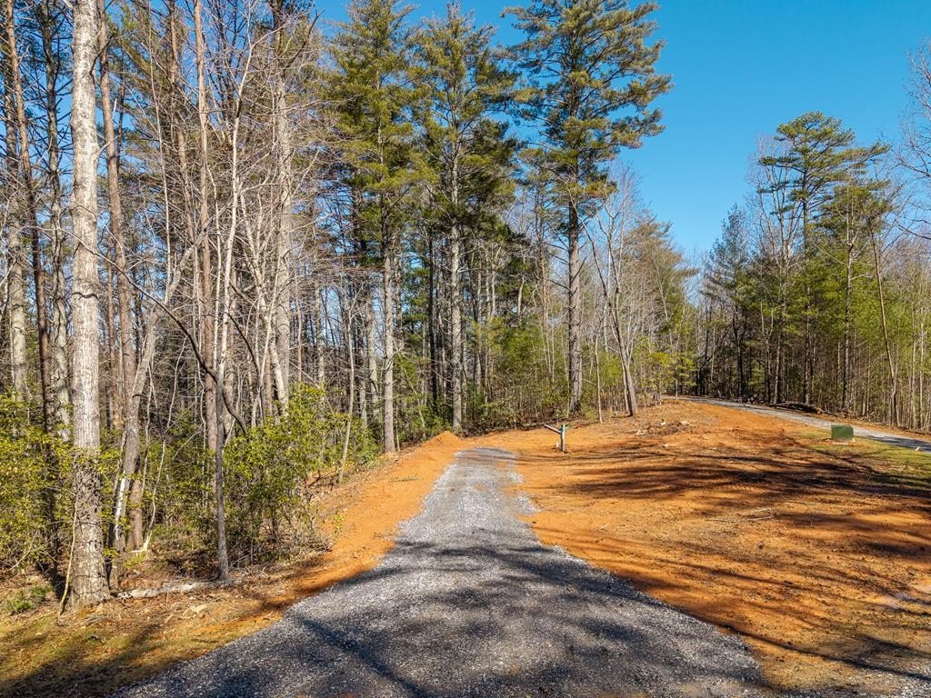 Vacant Lot Near Downtown Blairsville