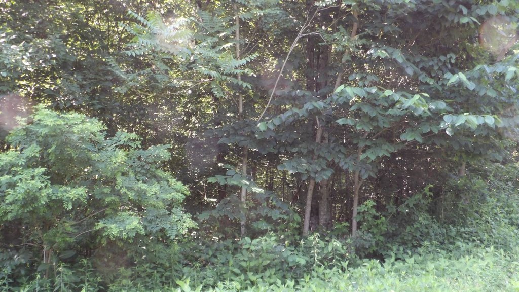 Picture 37