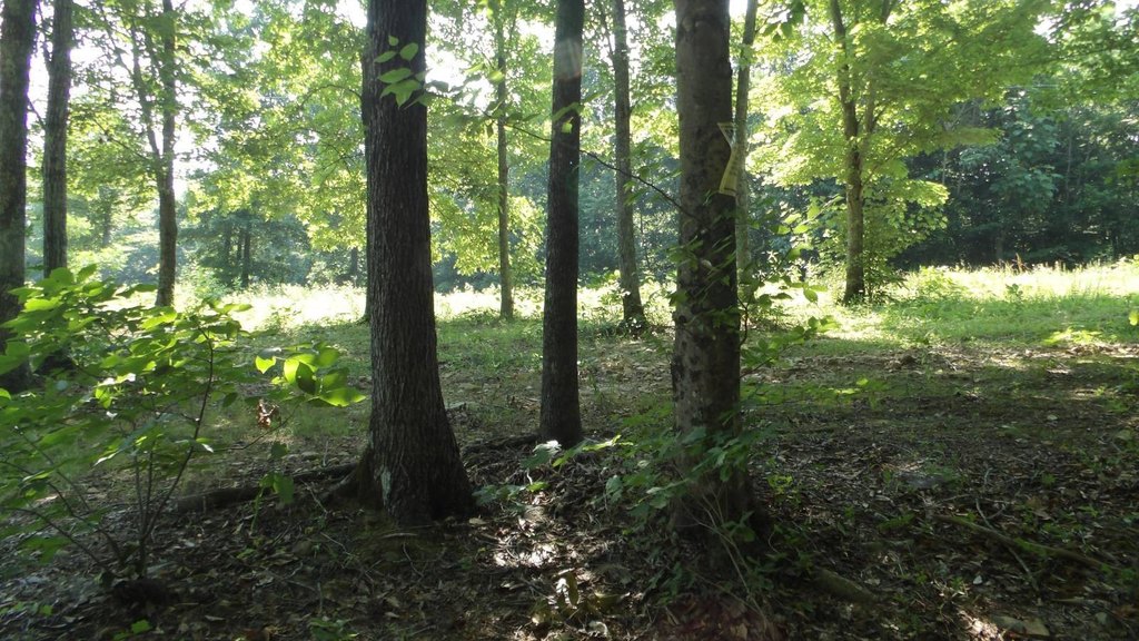 Picture 20
