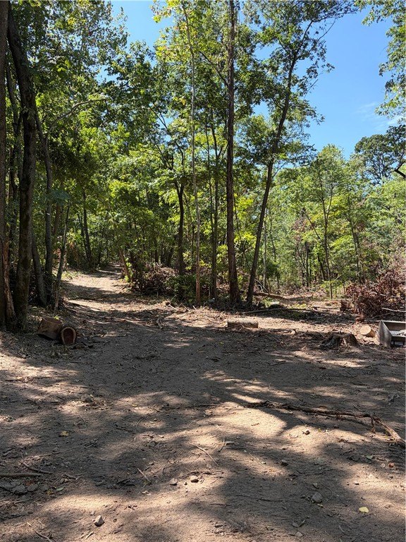 Picture 2