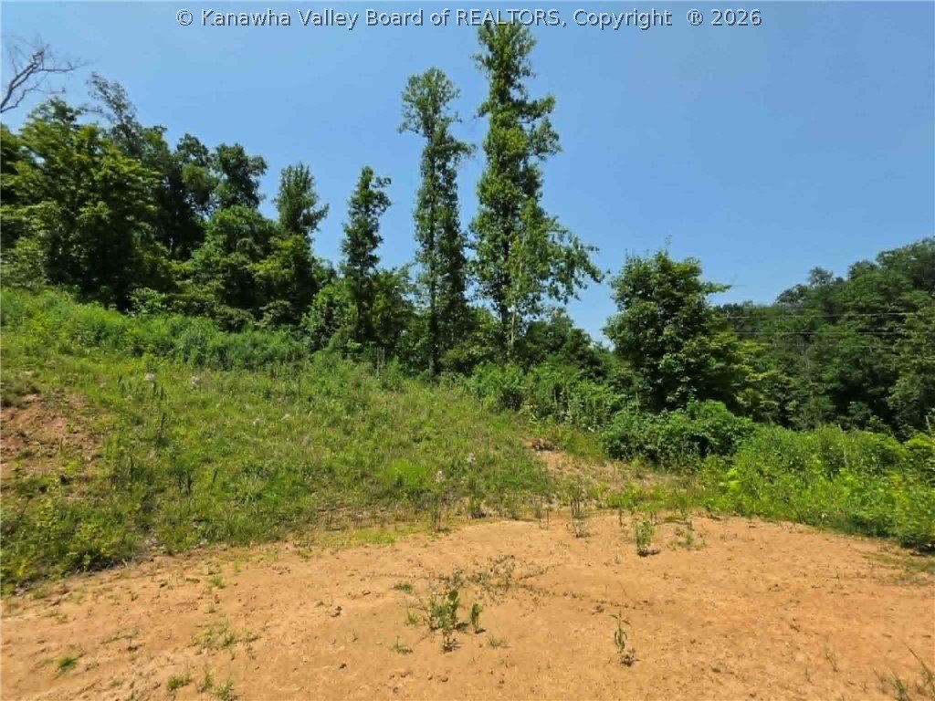 Picture 30