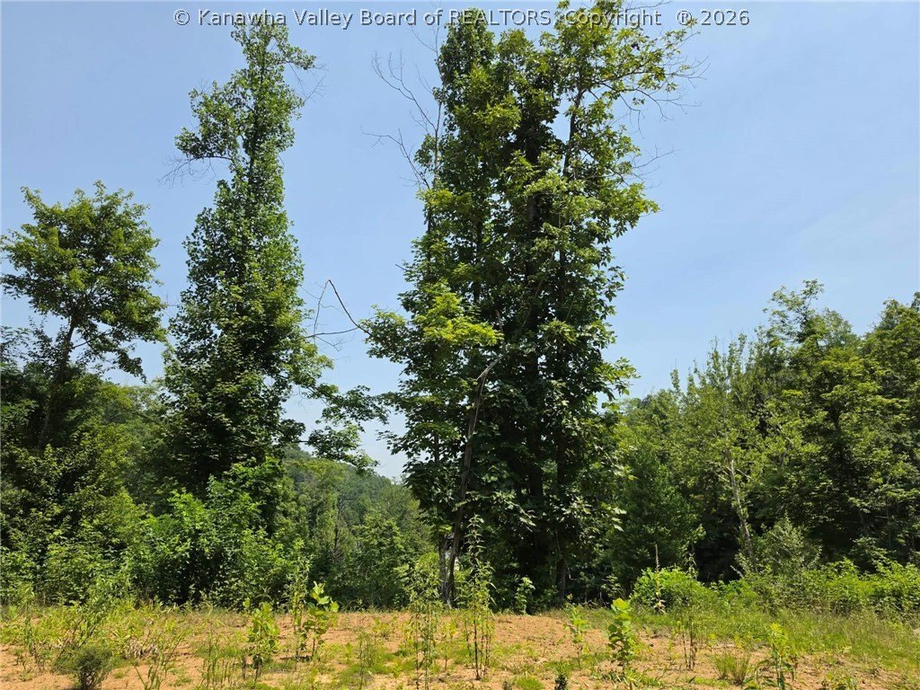 Picture 31