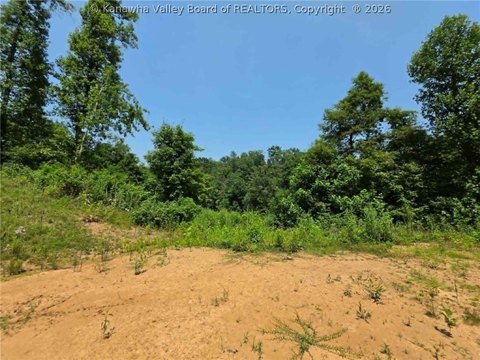 LAND - Ona, WV