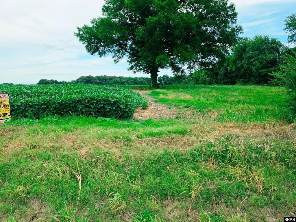 Picture 6