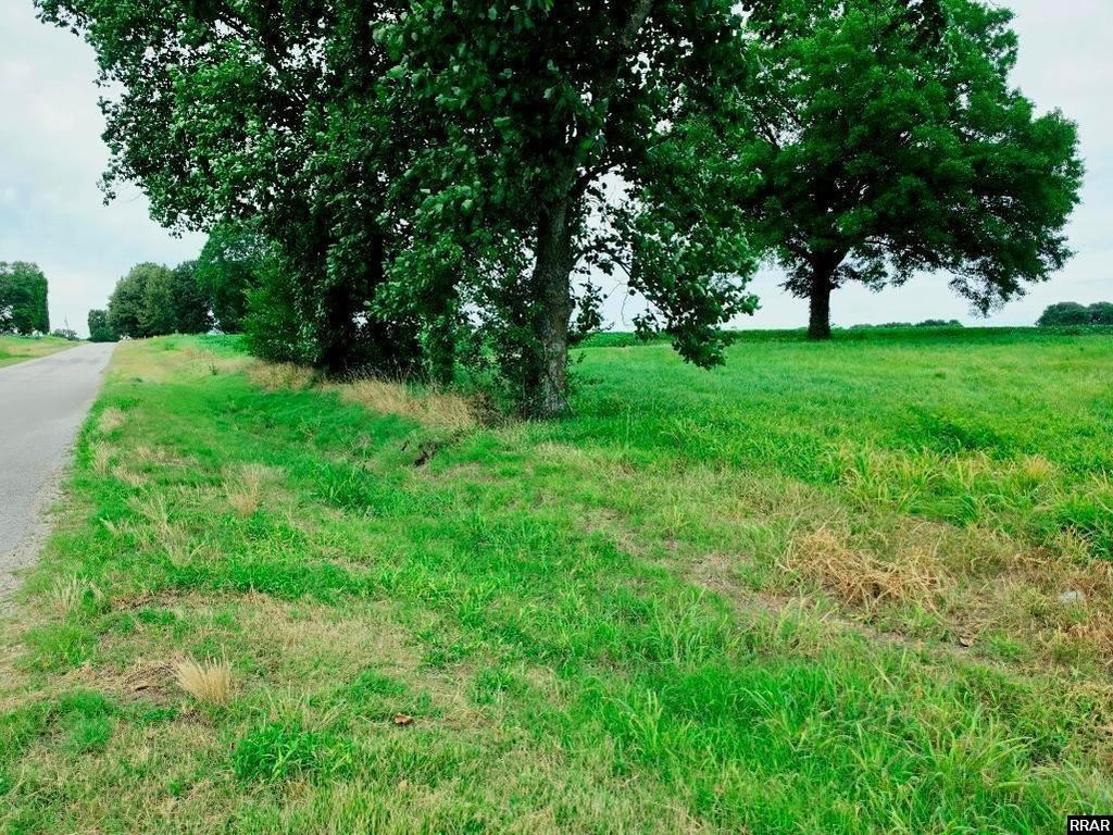 Picture 3