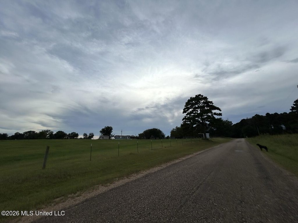 Picture 44