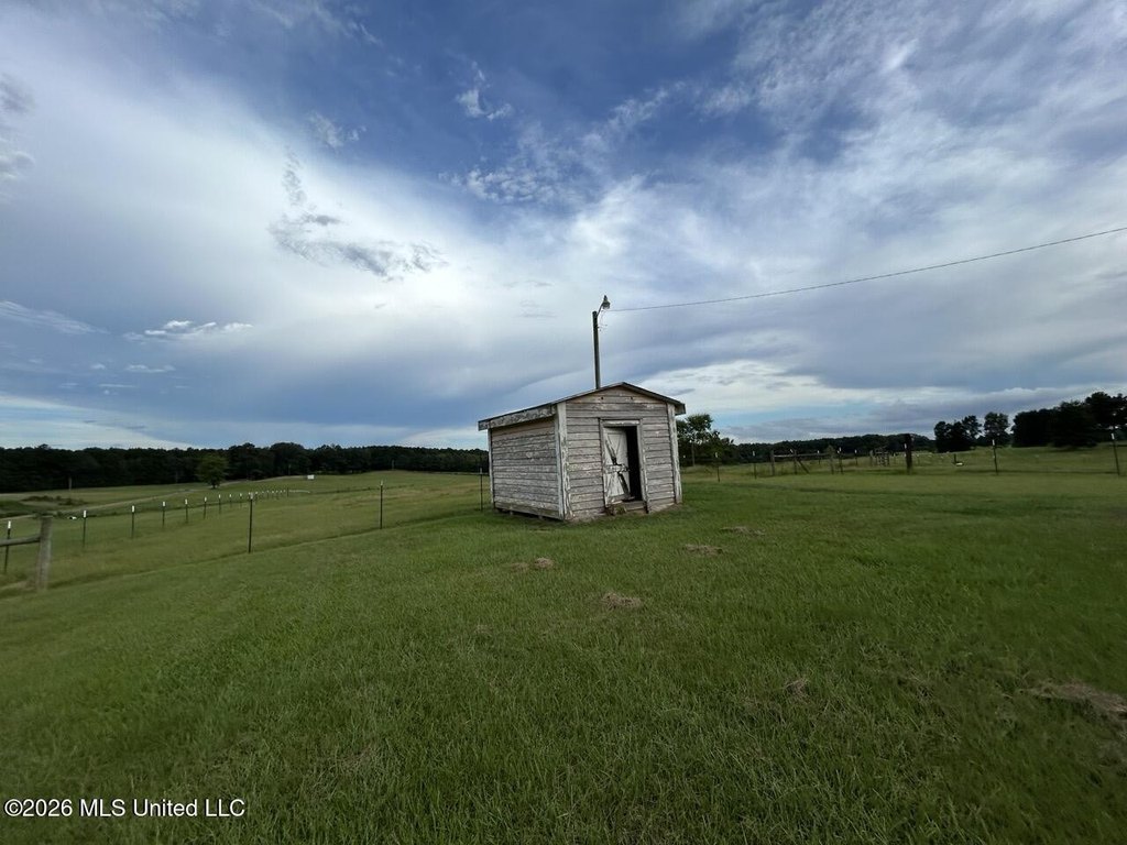 Picture 33
