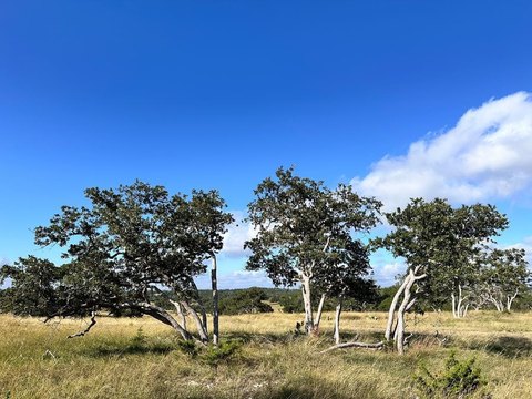 Fredericksburg Land with Hill Country Views