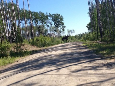 LAND - Fairbanks, AK