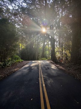 Land, Honokaa, HI