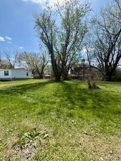 Picture 4