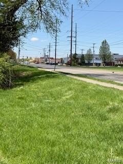 Picture 6