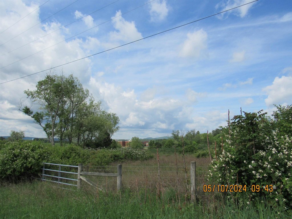 Picture 8