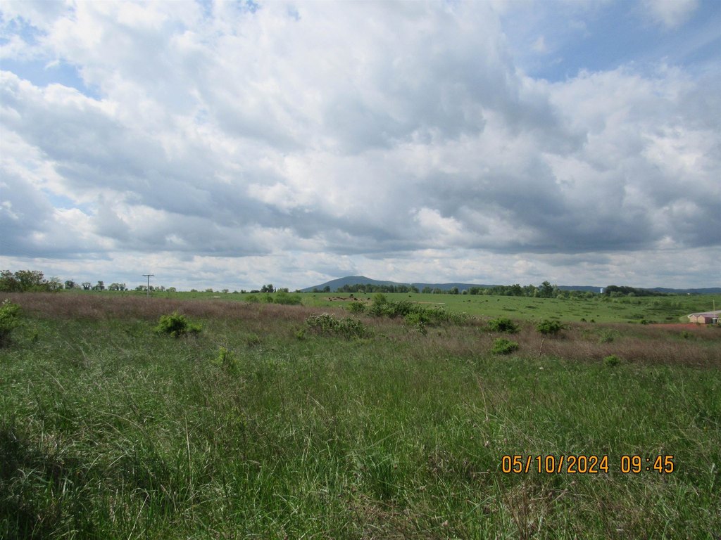 Picture 7