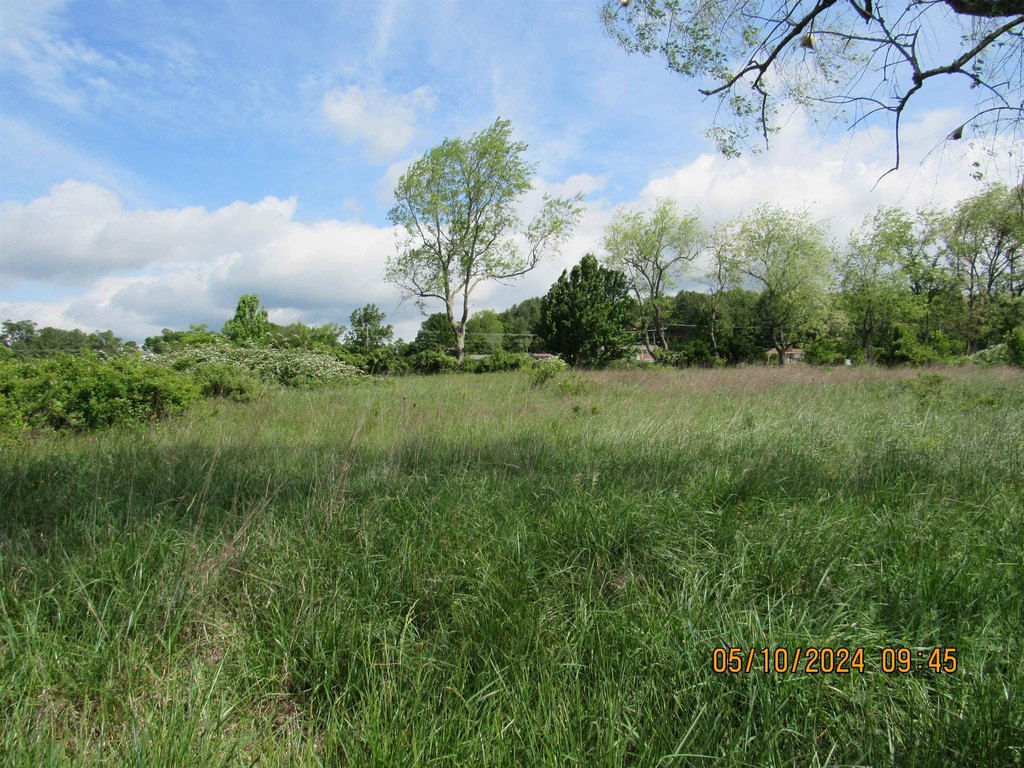 Picture 11