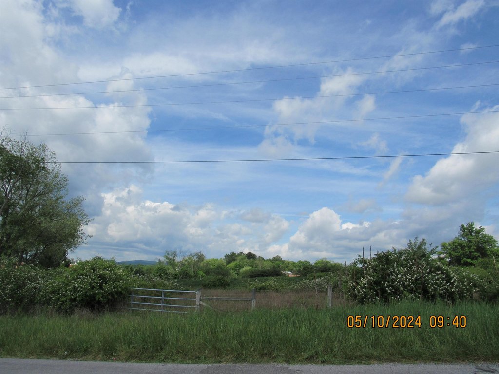 Picture 5