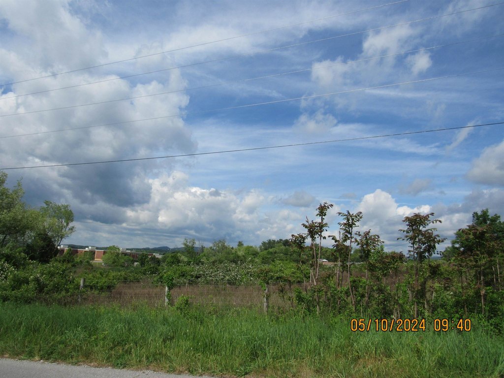 Picture 6
