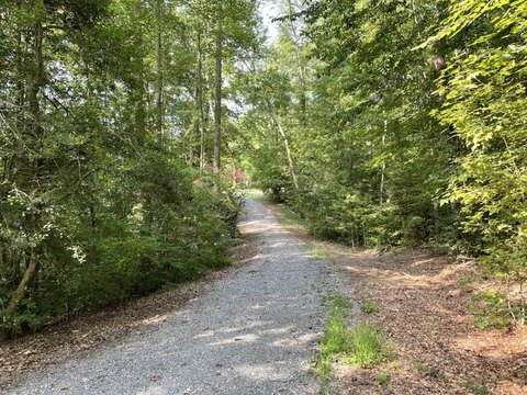 Richmond County Wooded Parcel
