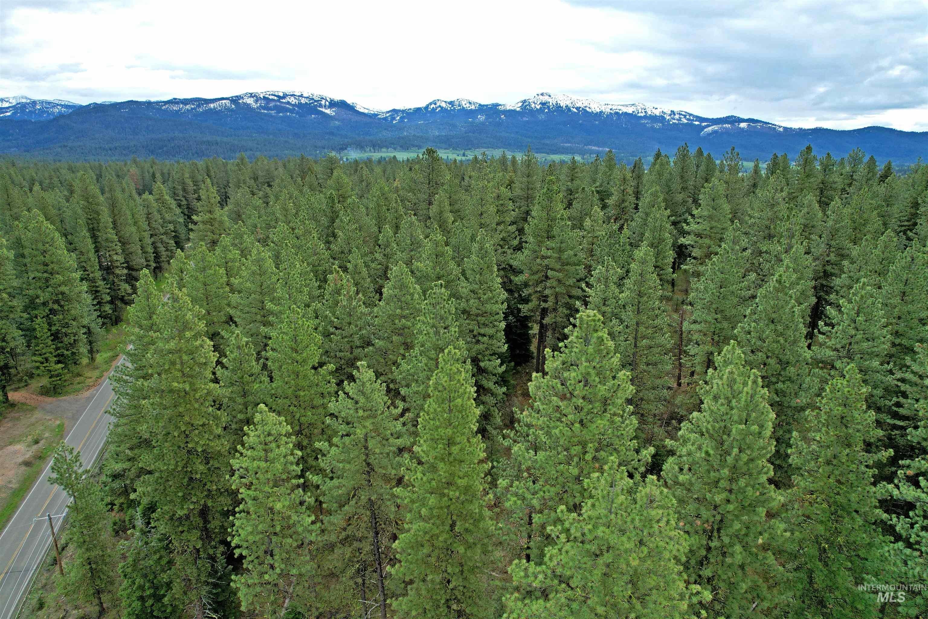 Secluded Land Near McCall, ID