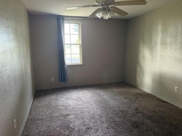 Picture 28