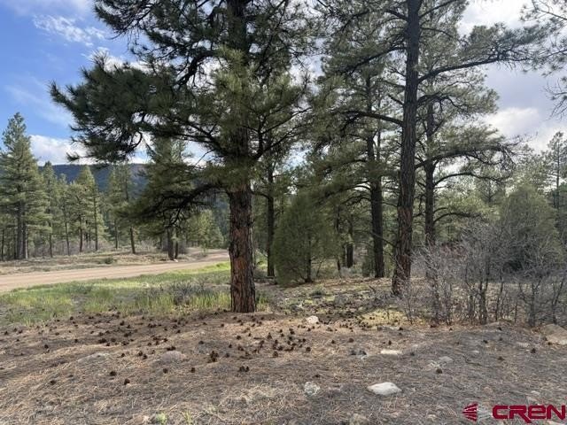 Land in Pagosa Springs, CO