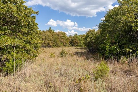Highway Frontage Land Near Wellston