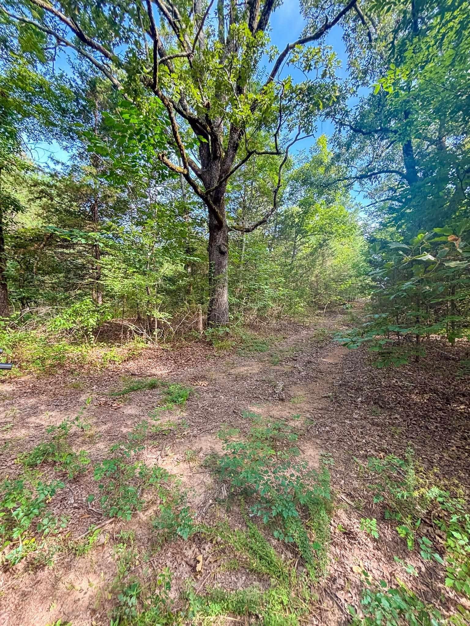 80 Acres of Recreational Land