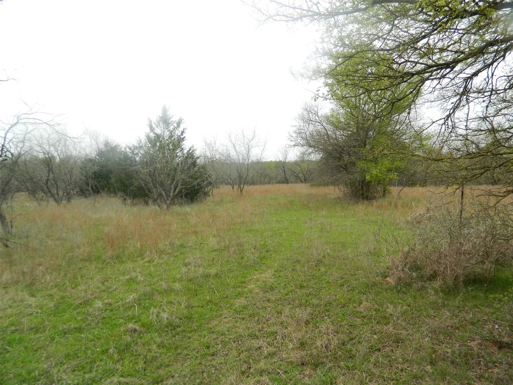 Picture 16