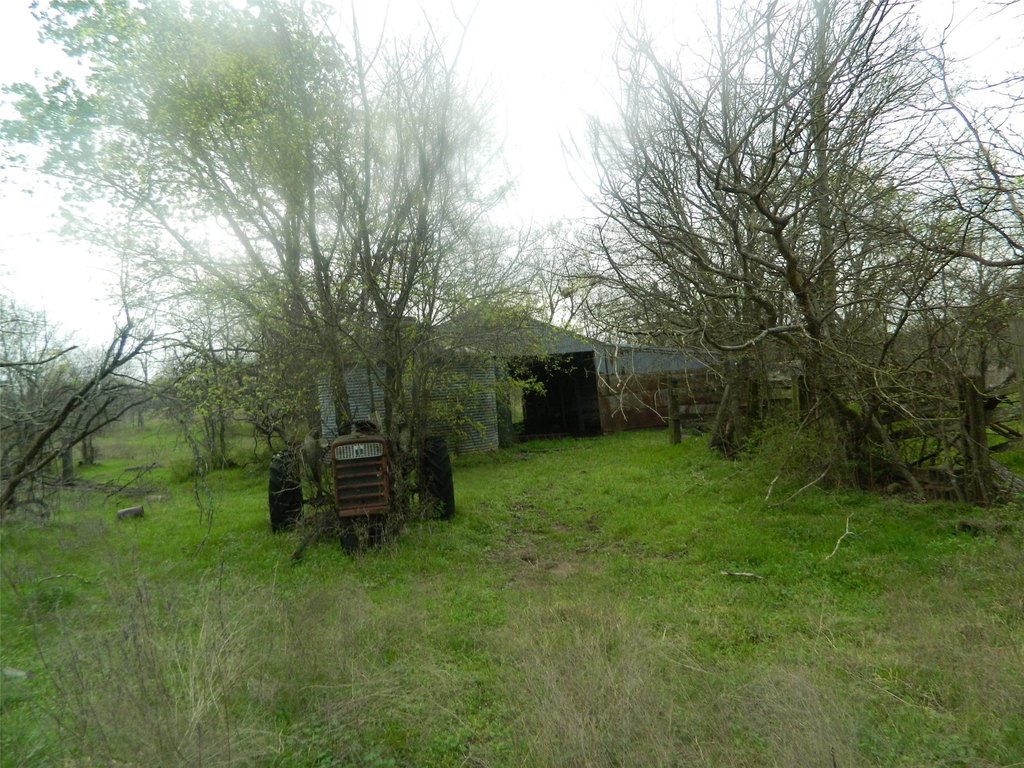 Picture 8