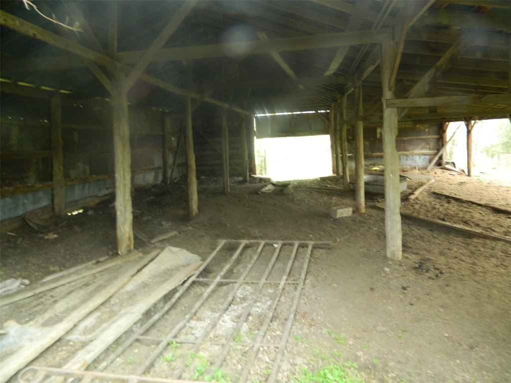 Picture 5