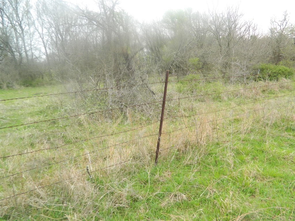 Picture 12