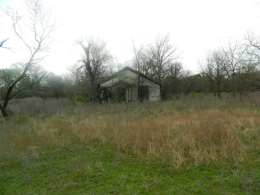 Picture 7