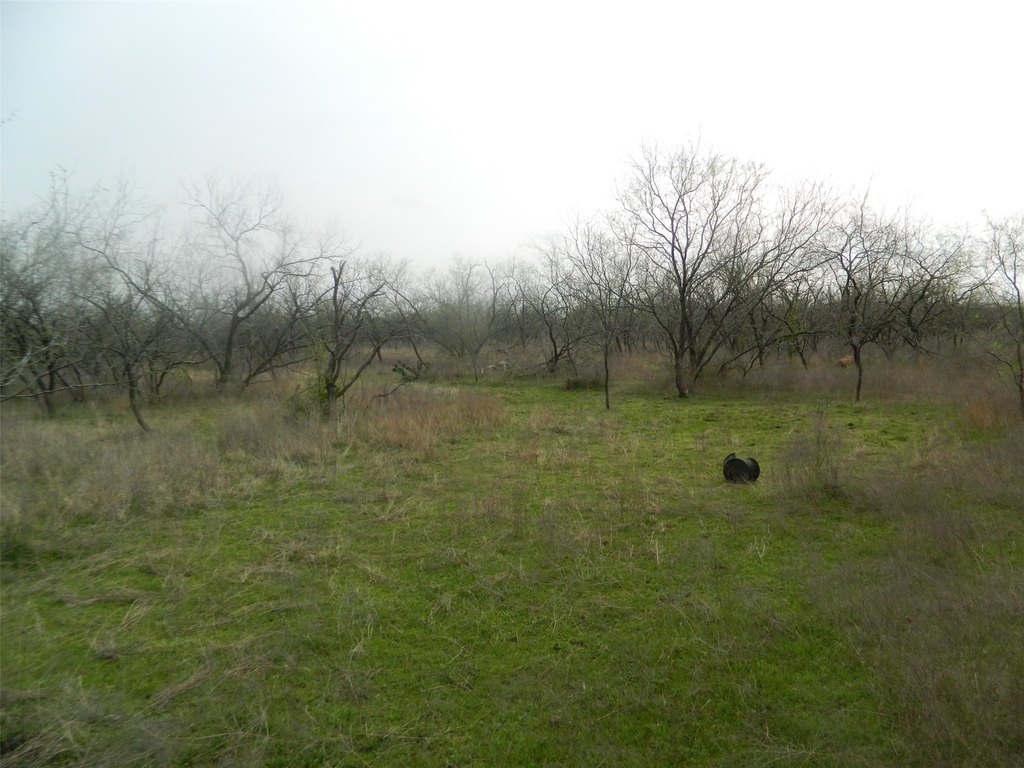 Picture 15