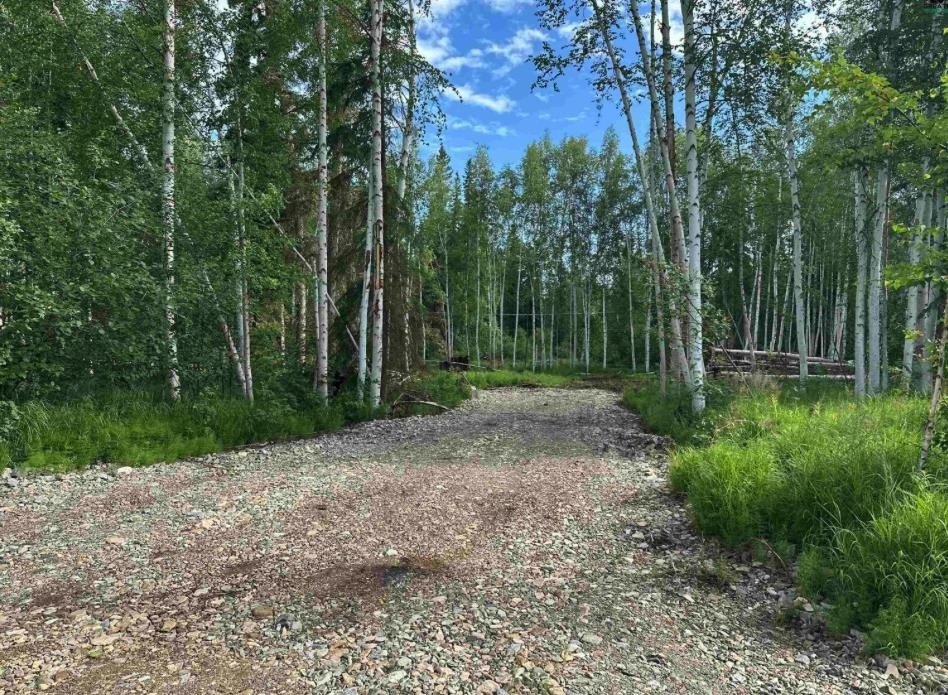 Fairbanks Land with Gravel Driveway