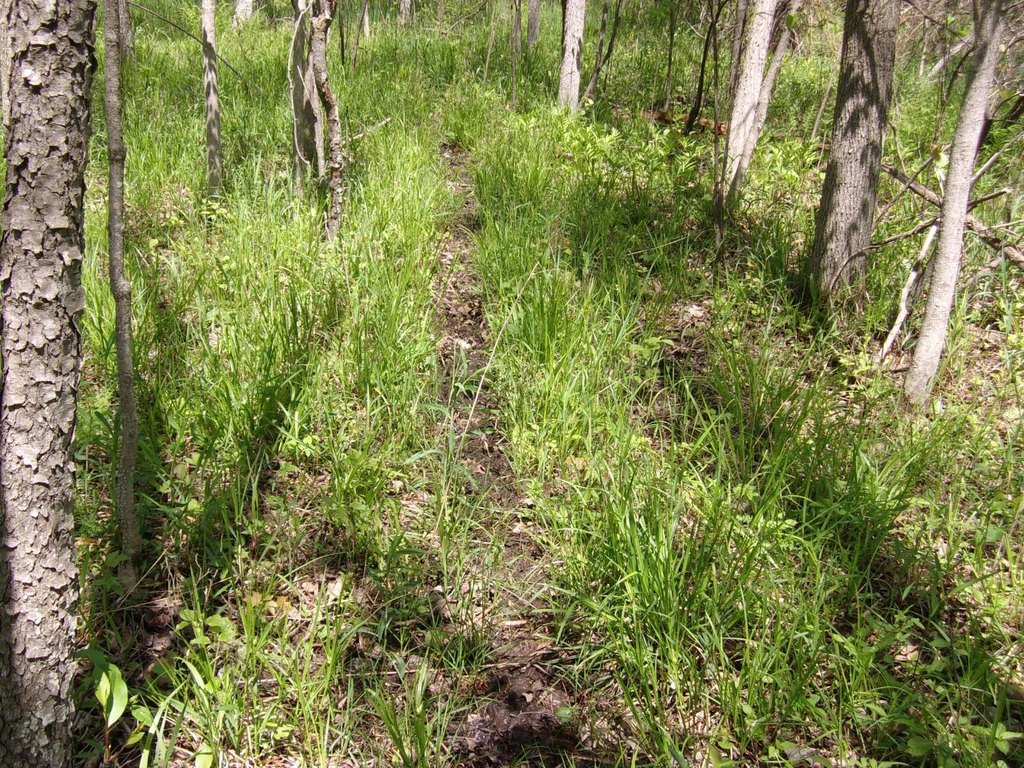 Picture 8
