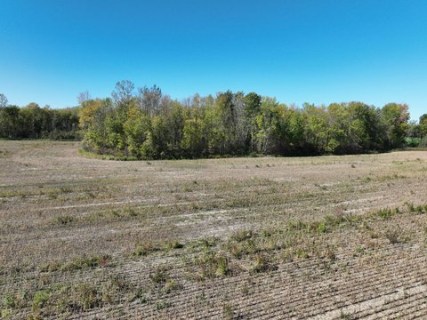 Buildable Land with Forest Access