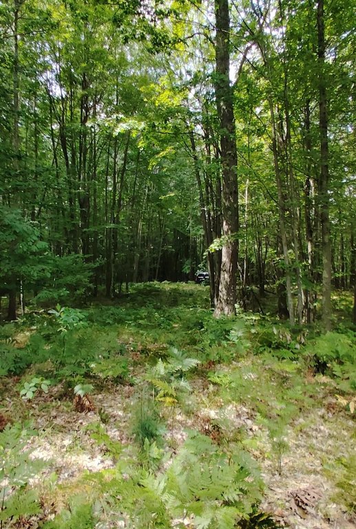 Picture 5