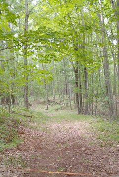 Land, Chase, MI