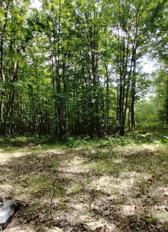 Picture 8