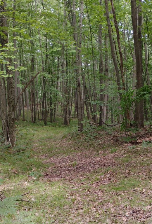 Picture 3