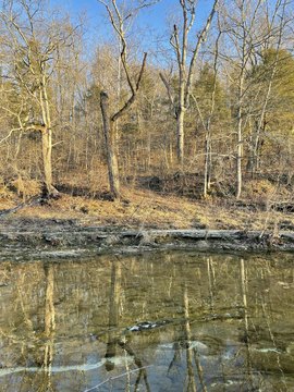 Wooded Land Overlooking Beaver Creek