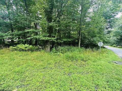 LAND - Terra Alta, WV