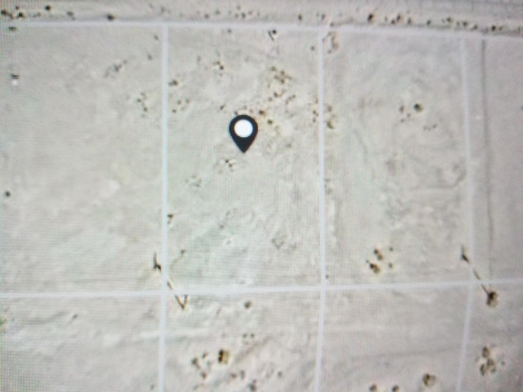 Picture 3