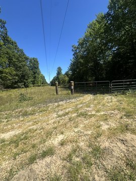 Land, Rothbury, MI