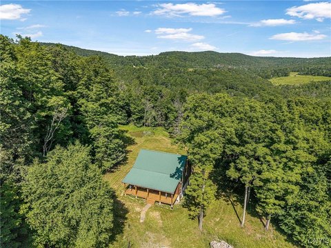 Cabin and Woodlands on 27 Acres