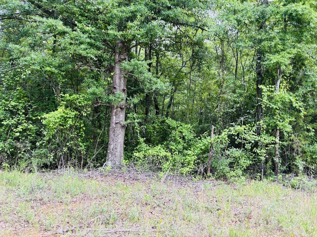 Picture 4